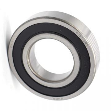 Stainless Steel Deep Groove Ball Bearing Used on Shaker
